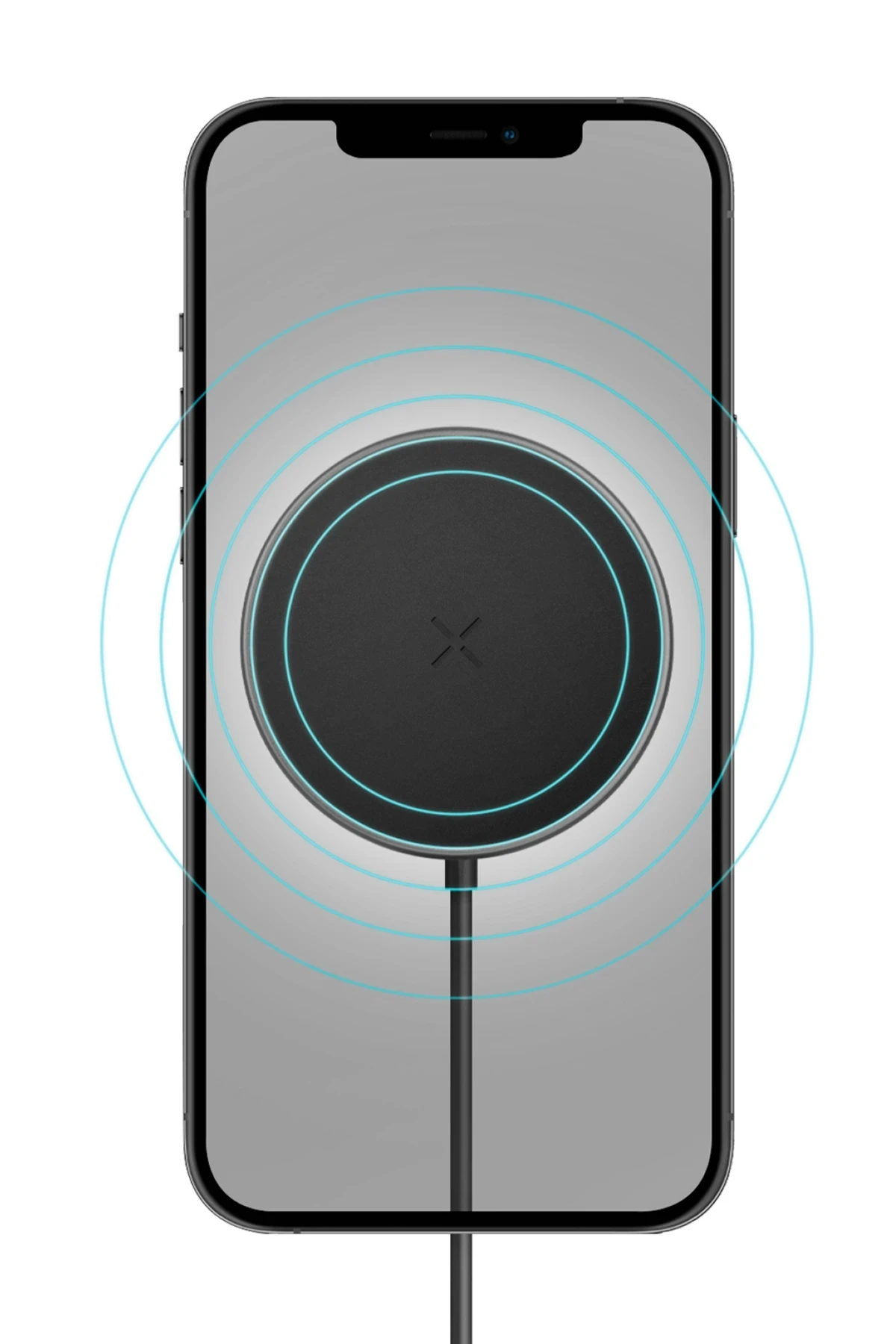 Product gallery 291926