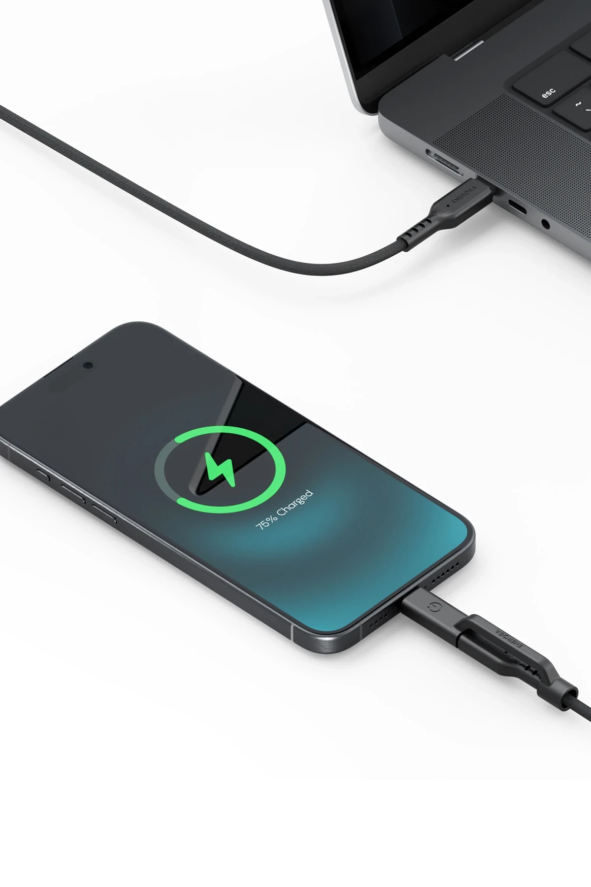 Product gallery 291958